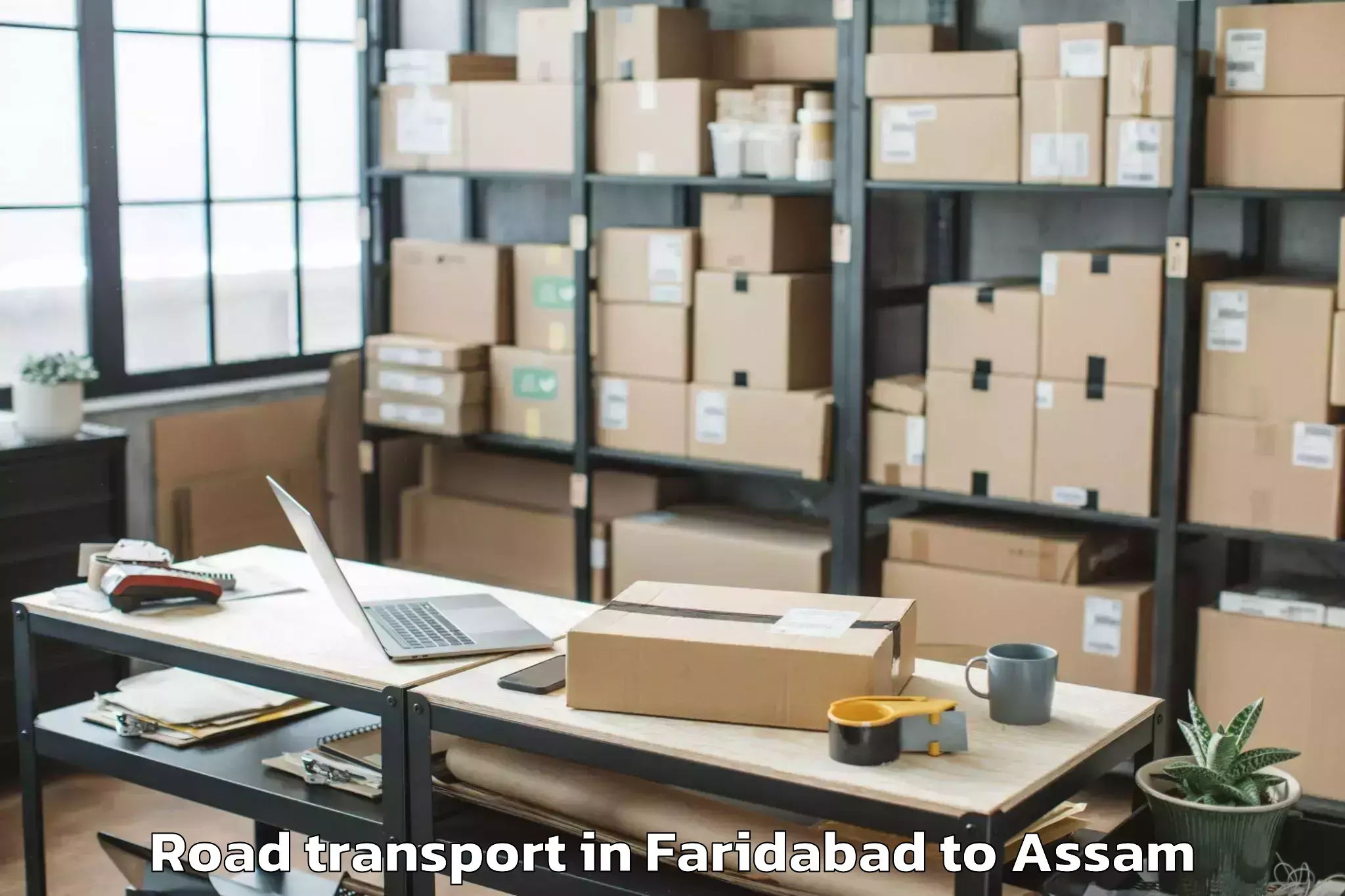 Hassle-Free Faridabad to Tezpur University Road Transport